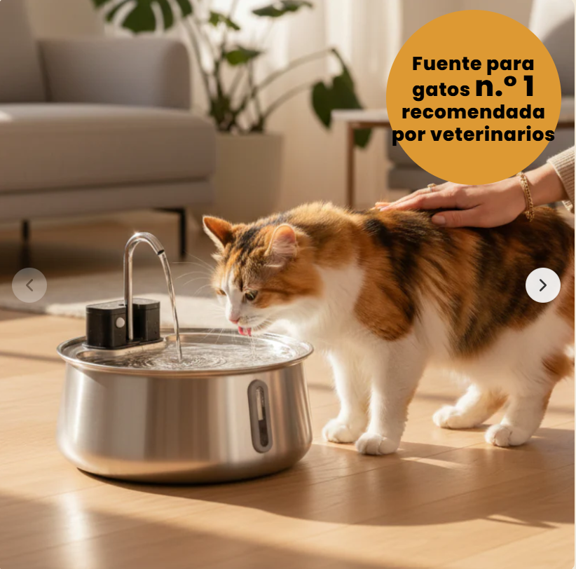 fuente para gato